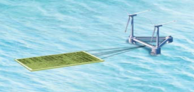 iseamc phytolutions Mariculture windfarm